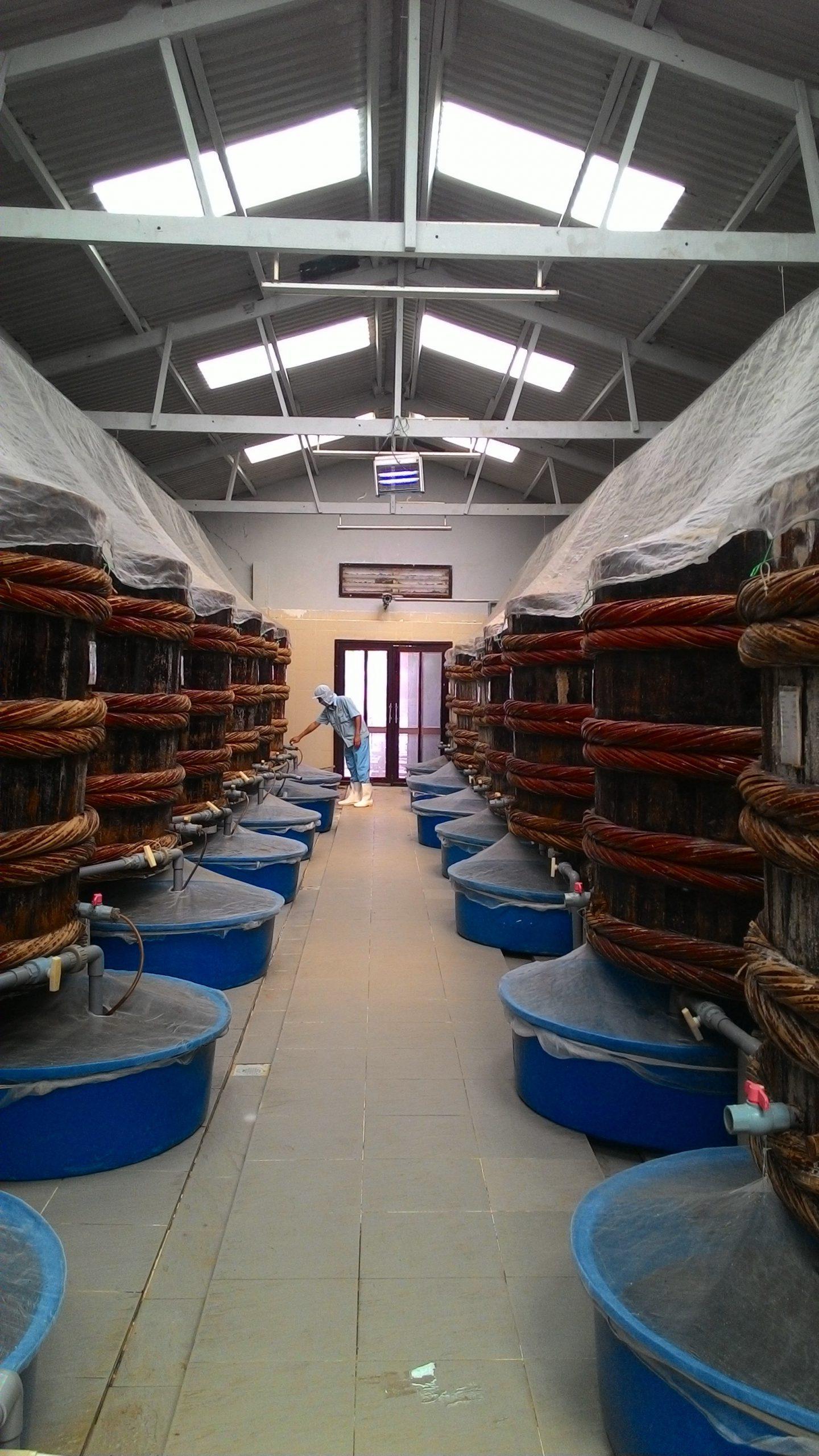 Lều sản xuất nước mắm lít từ cá chượp – Công ty Liên Thành