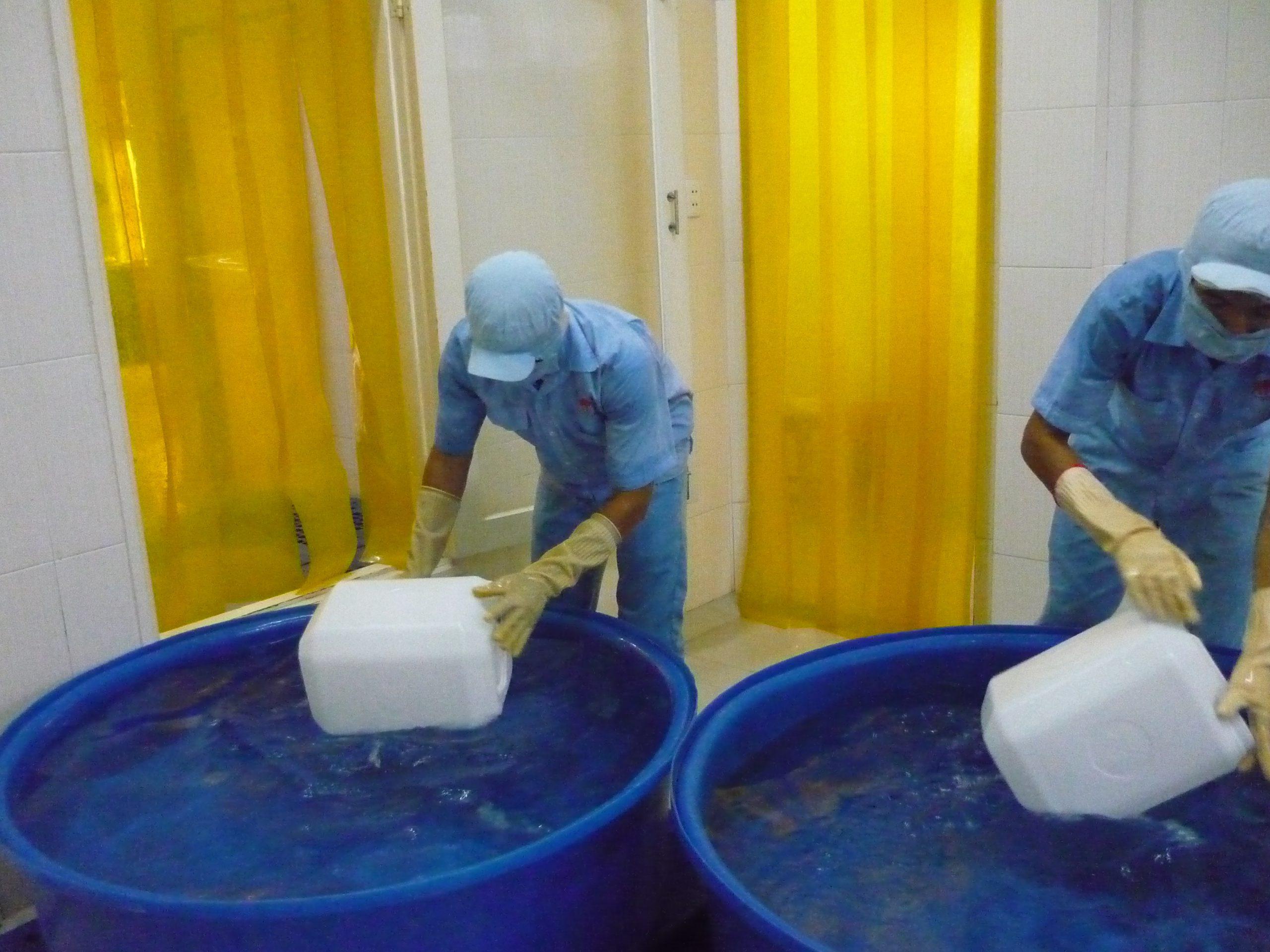 Công đoạn súc rửa, tiệt trùng can tại xưởng sản xuất nước mắm lít  – Công ty Liên Thành