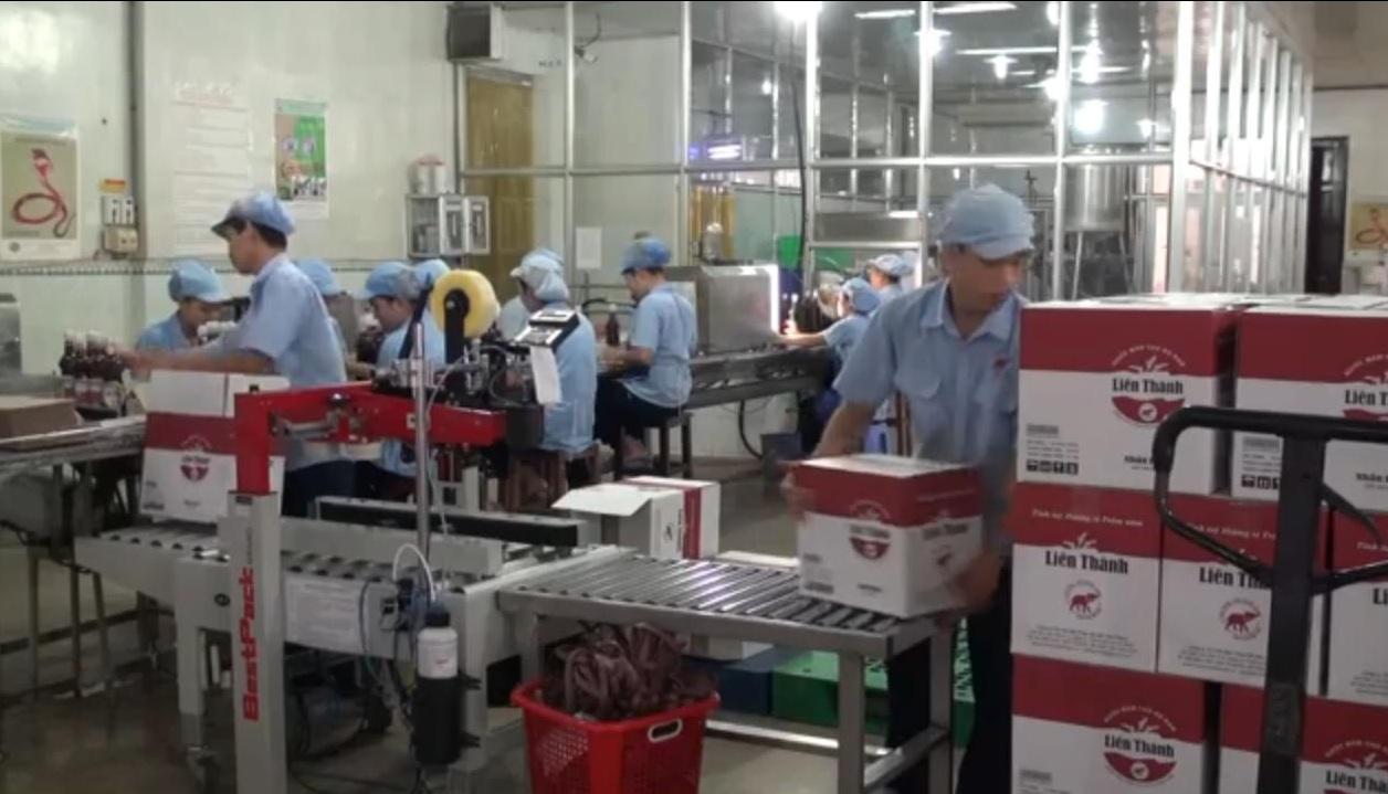 Công đoạn đóng chai tại xưởng đóng bao bì – Công ty Liên Thành