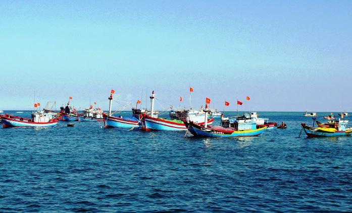 Các tàu đánh bắt cá cơm của ngư dân Phú Quốc.